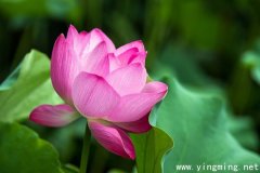 岳麓區(qū)網站的建設如何進行